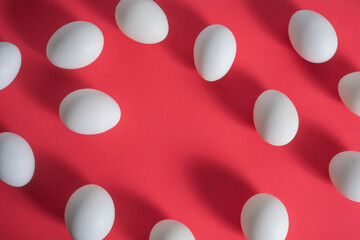 White eggs lined up with shadows on a vibrant red background and space for text in the middle for an Easter advertisement.