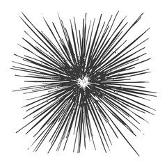 Obraz premium Hand Drawn Black And White Radial Burst Graphic Design Element