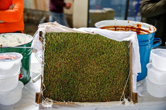 Sumalak, a sweet paste made from germinated wheat young wheatgrass and wheat flour, which is prepared especially for Nowruz in a large pot on market in Tashkent, Uzbekistan