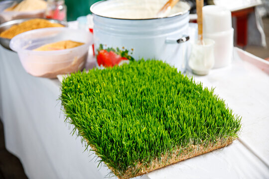 Sumalak, a sweet paste made from germinated wheat young wheatgrass and wheat flour, which is prepared especially for Nowruz in a large pot on market in Tashkent, Uzbekistan