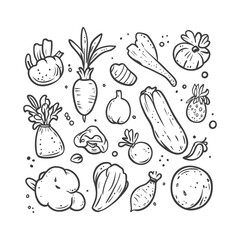 Hand Drawn Line Art Illustration Of Various Vegetables And Fruits