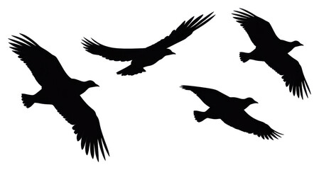Obraz premium PNG 3 birds flying silhouette drawing animal.