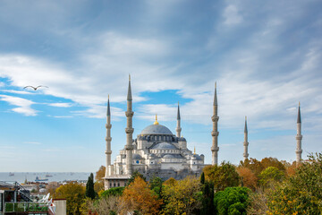 The Blue Mosque or Sultan Ahmet Mosque in the bosphorus, Istanbul by beautiful autumn day.