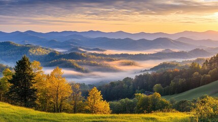 Fototapeta premium A vast wilderness of rolling mountains covered in morning mist, with golden sunlight breaking through.