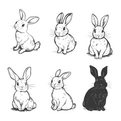 Obraz premium Six Hand Drawn Sketches Of Sitting Rabbits In Various Poses