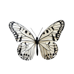 lifelike butterfly