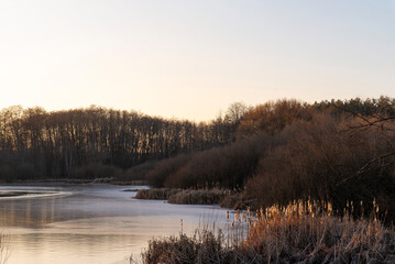 Fototapeta premium Winter landscape with frozen lake and trees at dusk