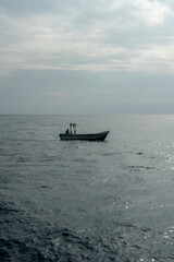 Naklejka premium In Sri Lanka, there are tours that allow you to see wild whales in the Indian Ocean.