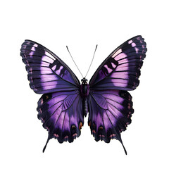 lifelike swallowtail butterfly