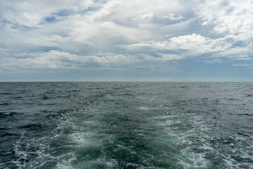 In Sri Lanka, there are tours that allow you to see wild whales in the Indian Ocean.