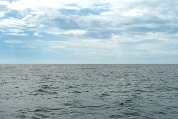 Obraz premium In Sri Lanka, there are tours that allow you to see wild whales in the Indian Ocean.