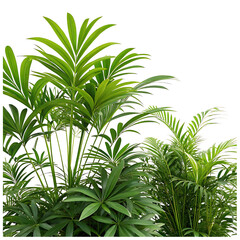 Obraz premium Curvy mountain road with greenery isolated on transparent background