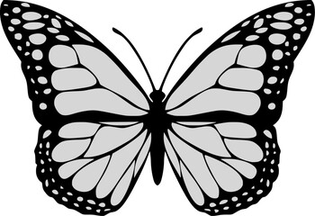 butterfly isolated on white background. butterfly icon vector with transparant background. butterfly logo
