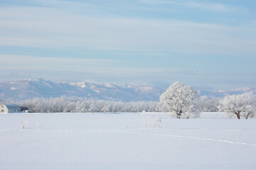 辺り一面が真っ白になった朝　当別町