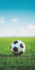 Fototapeta premium Close-Up of a Soccer Ball on Lush Green Grass Under a Blue Sky