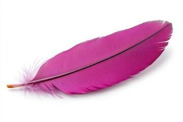 A purple feather, isolated on a white background, high-resolution photograph, studio lighting