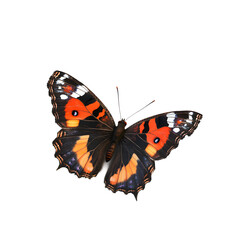 Obraz premium Realistic red-banded hairstreak butterfly