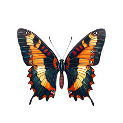 Fototapeta premium Butterfly Isolated on White