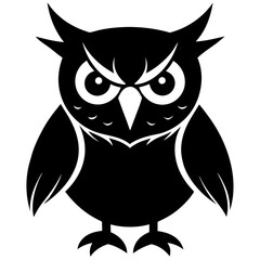 owl on white background