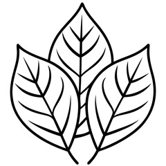 black and white leaf