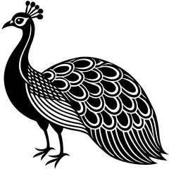 peacock vector illustration