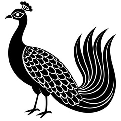 peacock vector illustration