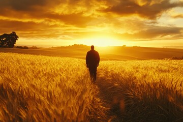Fototapeta premium Walking Through Wheat Field at Sunset. Gold Countryside Landscape with Farmer in Rural Farm Scene
