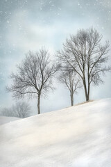 Obraz premium A Tranquil Winter Wonderland: Gentle Snowfall Transforming the Landscape into a Magical, Snow-Covered Paradise