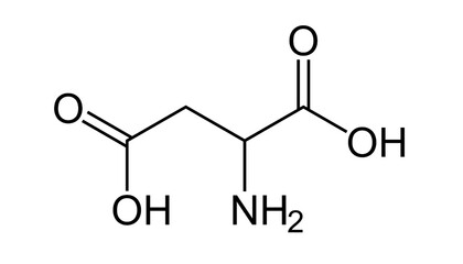 Aspartic acid molecular structure diagram, chemical formula illustration of amino acid with two carboxyl groups and one amine group