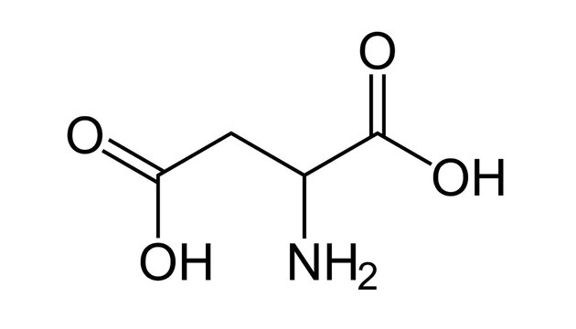 Aspartic acid molecular structure diagram, chemical formula illustration of amino acid with two carboxyl groups and one amine group