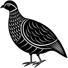 vector illustration of a bird