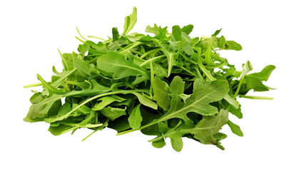 Obraz premium Fresh green arugula leaves forming a small pile on transparent background