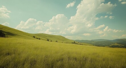 Obraz premium Zlatibor Landscape: Cloudy Sky over Green Fields and Rolling Hills
