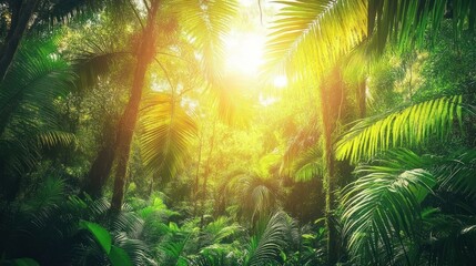 Lush tropical rainforest with sunlight streaming through canopy.