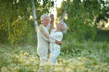 Beautiful elderly couple dancing in the park