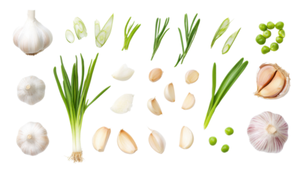 garlic bulb cloves and green shoots isolated on transparent background