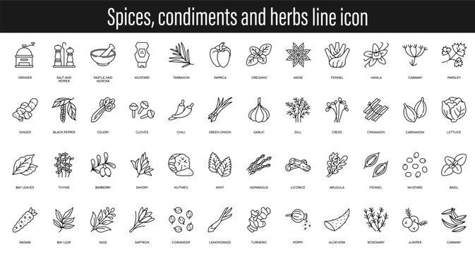 Spices, condiments and herbs vector line icon