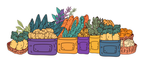 Vegetable baskets colorful produce farm market. Fresh vegetables in containers with leafy greens carrots potatoes and herbs. Organic food theme