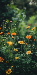 yellow and orange chrysanthemums set against a lush, green garden backdrop.