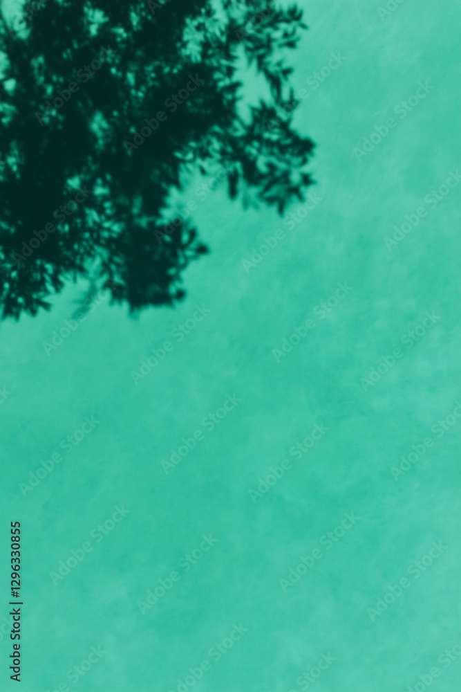 Poster skyward gaze: an abstract view looking up through the leaves of a tree, with the sky serving as a dy