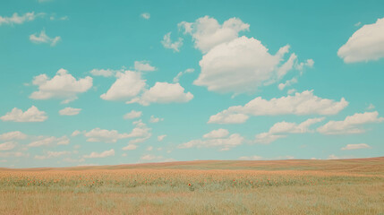 Fototapeta premium Idyllic landscape with sunflowers and expansive sky for nature lovers and tranquil retreats