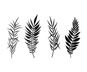 Elegant vector doodles of various leaves gracefully arranged on a clean white background for artistic inspiration