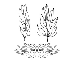 Elegant vector doodle of leaves intertwined in a harmonious branch arrangement for artistic inspiration