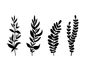 Beautiful vector leaves collection showcasing the elegance of nature's flora in a doodle style