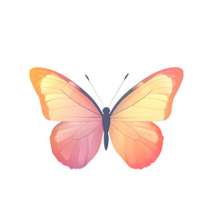Fototapeta premium butterfly on white background