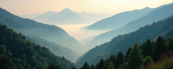 Misty morning veils the rugged mountain terrain, trees, morning