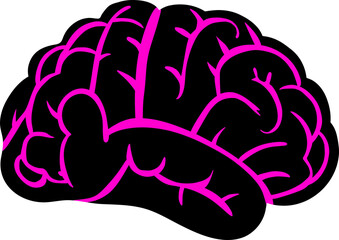 A detailed illustration of the human brain, symbolizing intelligence, creativity, and neural activity. Perfect for educational, medical, and scientific content related to cognition and mental processe