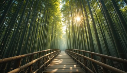 Serene Bamboo Forest Path Wooden Bridge Leading Through Lush Green Bamboo Grove at Sunrise