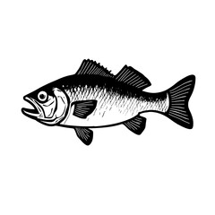 An illustration featuring a black sea bass silhouette set against a clean white background depicting a sea bass with detailed scales and fins, symbolizing abundance and adaptability.