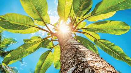 A tall palm tree with a thick trunk and vibrant green leaves reaching towards the sky.